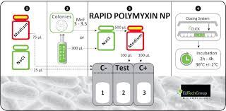 Rapid Polymyxin Np. Elitech Microbio (Francia). 