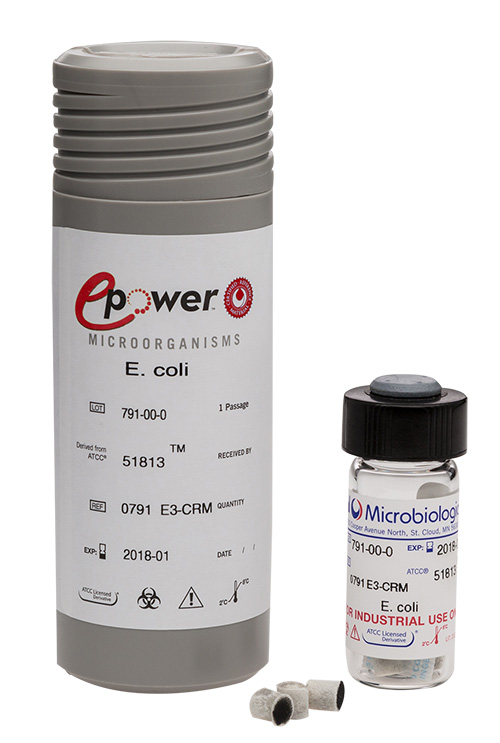 Aspergillus brasiliensis derived from ATCC® 16404™. Microbiologics (USA).