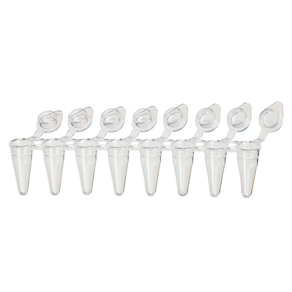 PCR 8-Strip Tubes, 0.1 ml, Clear. Individually-Attached Flat Caps. Globe Scientific (USA).