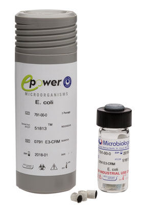 Bacillus Subtilis Subsp. Spizizenii Derived From ATCC® 6633™ Epower™ CRM 1.0-9.9E+03 Cfu Per Pellet. Microbiologics (USA). 