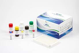 Prolactina ELISA Calbiotech (USA)