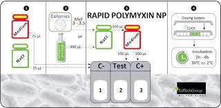 Rapid Polymyxin NP. Elitech Microbio (Francia). 