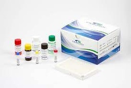 [CB PR234F] Prolactina ELISA Calbiotech (USA)