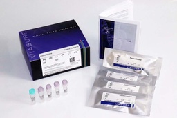[CT VS VP1CHTRUO] VIASURE Viral Chikungunya Total Positive Control Kit. 4 Extractions. RUO. Certest (España).   